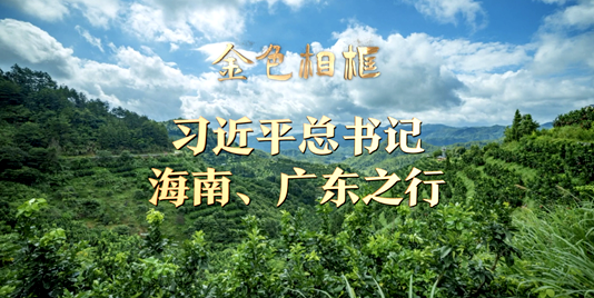 金色相框丨習近平總書記海南、廣東之行