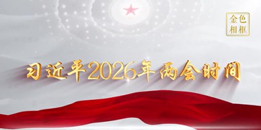 習近平總書記同人大代表、政協委員共商國是紀實