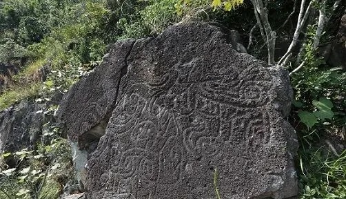 圖片
