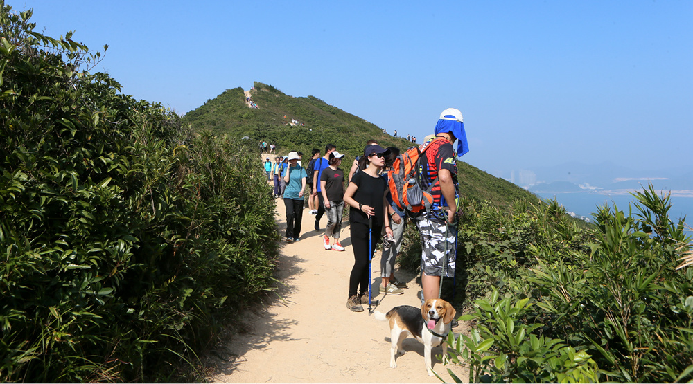 清幽尋勝 道外慮恬&mdash;&mdash;那些年，我們一起走過的香港行山徑