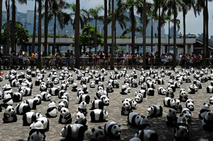 1600隻紙制熊貓在香港展出