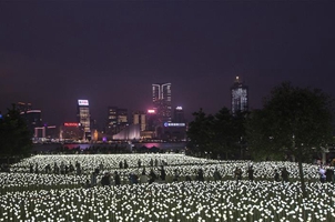 香港玫瑰燈海點亮維港