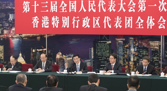 王滬寧參加全國兩會香港代表團討論和審議