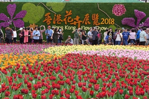 香港：又到一年賞花時