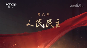《領航》|第六集:人民民主