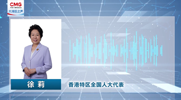 港區全國人大代表：講好香港故事