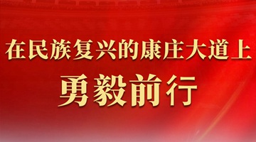 在民族復興的康莊大道上勇毅前行——代表委員共話推進中國式現代化