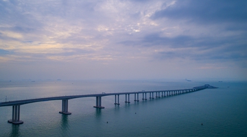 大公報：灣區發展勢不可擋 抓機遇香港前景亮麗