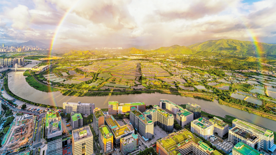 粵港澳三地代表委員共話大灣區發展