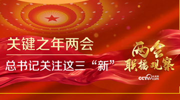 關鍵之年兩會 總書記關注這三“新”